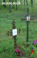 Widok krzyy eliwnych